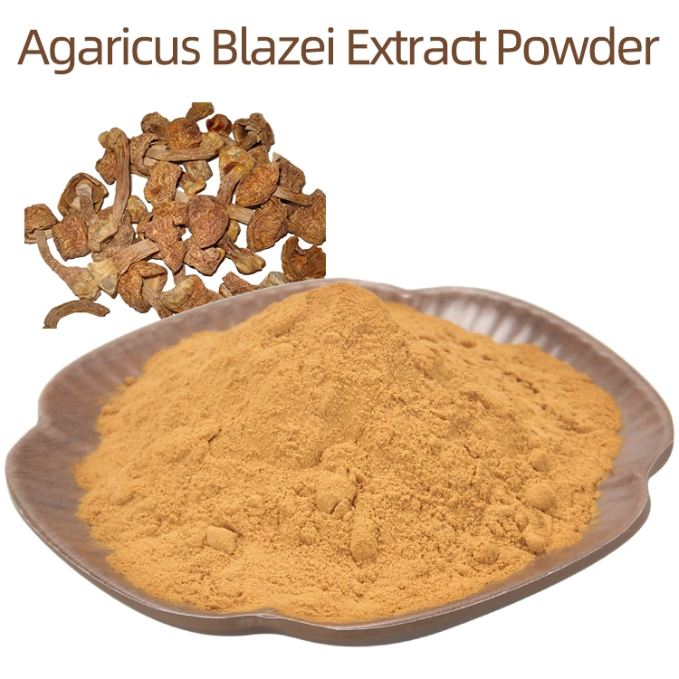 HACCP ISO Certified Agaricus Blazei Extract Mushroom Powder Mushroom Extract for Improve Body Immunity