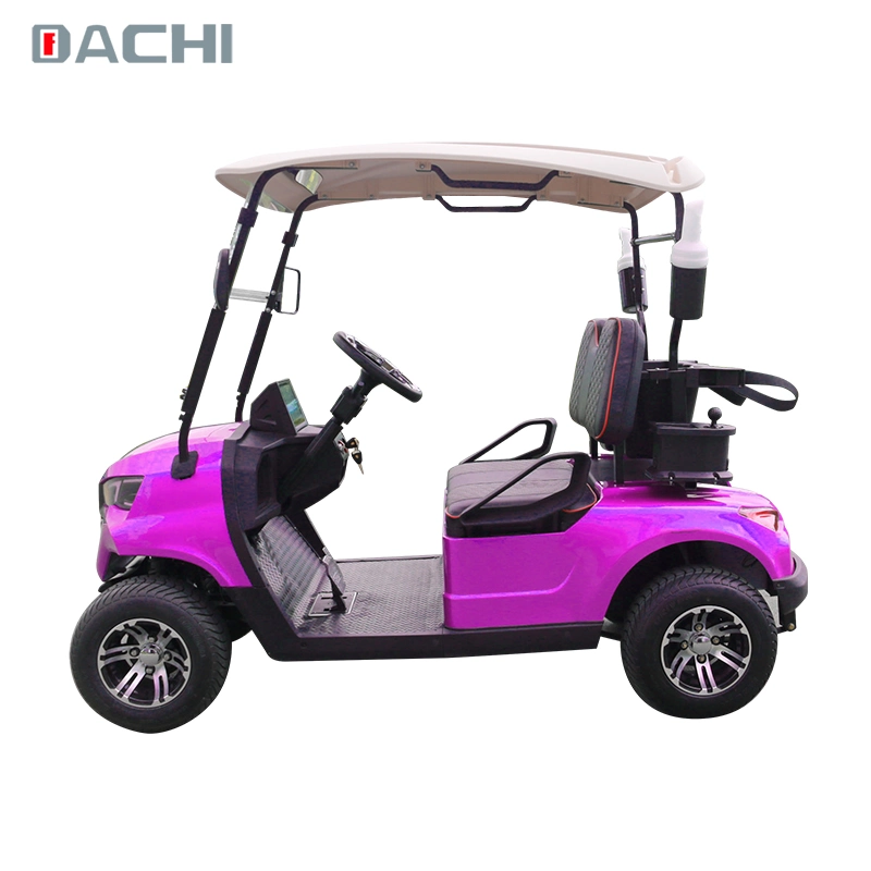 Manufacture 2 Seats Forge G2 Golf Buggy Lithium Battery Electric Golf Cart