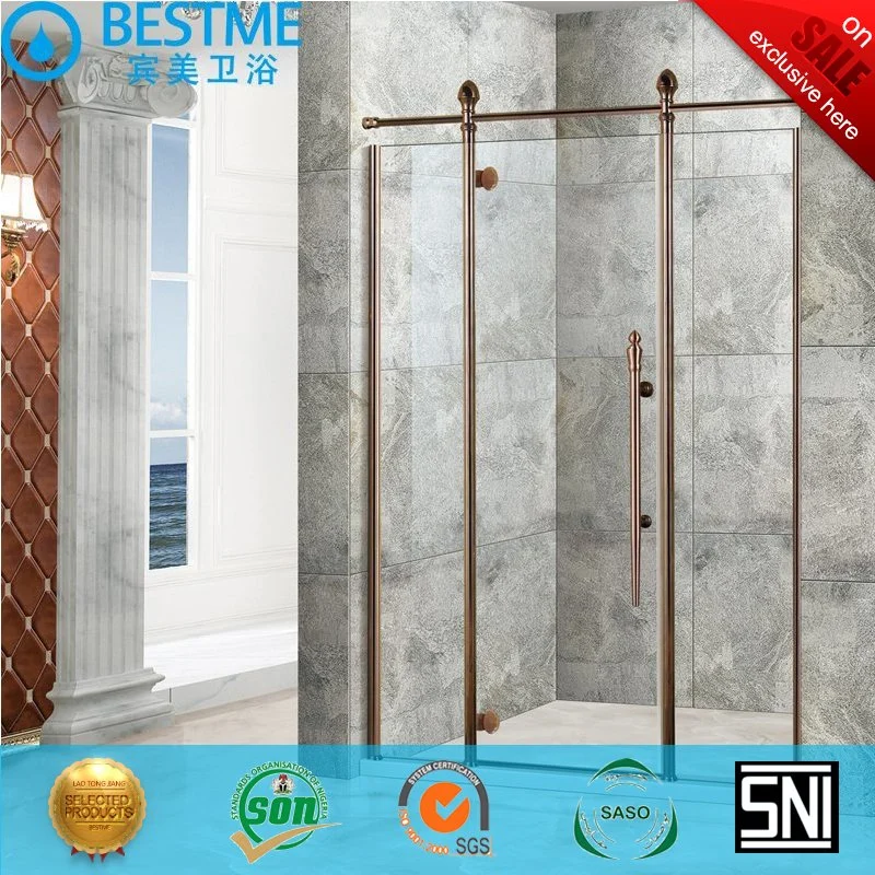 Hot Sale to Russia Market European Style Shower Glass Door Ga-333