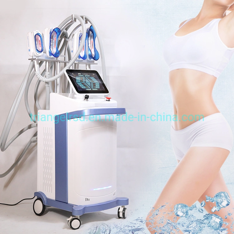 Hot Sale 360 Degree Cooling 5 Handles Cryo Lipolysis Machine Equipment