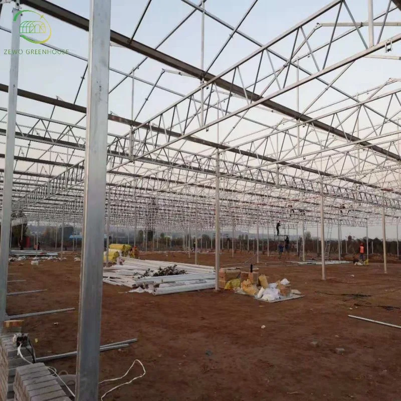 Estufa de filme de túnel de Greenhouses vegetais de Hydroponics rentável Verde Agrícola Casas para Venda