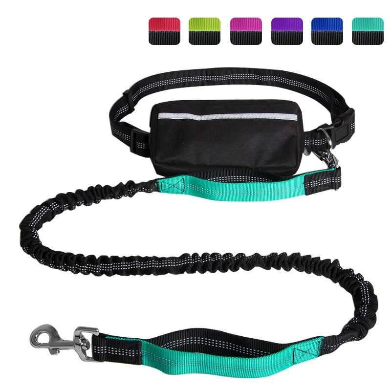 Collier pour chien Classic de couleurs en aplat Pet Collier pour chien confortable conduit