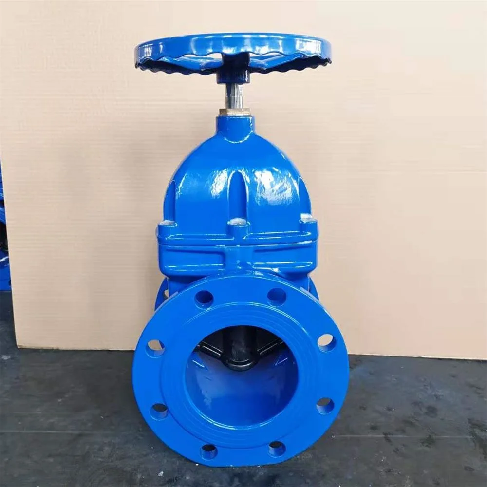 Gate Valves Flat Body F4 on Cast Iron Pn 10/16