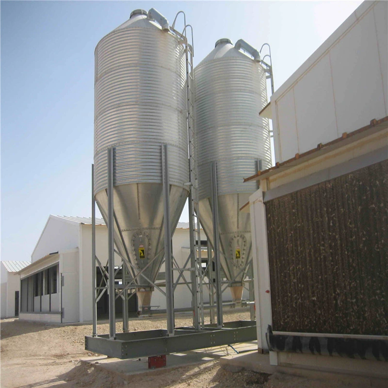 High quality/High cost performance  Full Automatic Steel Poultry Farm with Self Equipment