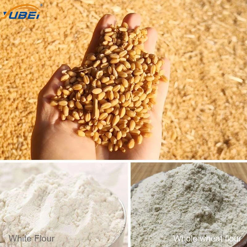 10 20 30 Tons Per Day Automatic Cheap Price Complete Full Line Grinding Machine Durum Wheat Flour Roller Mill Milling Making Machine