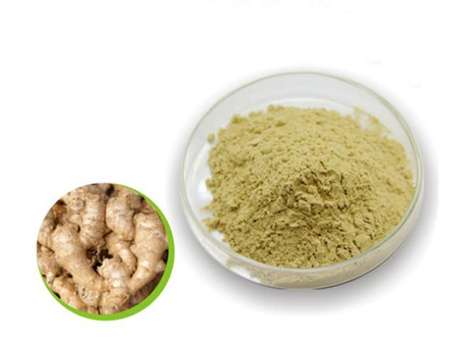 Natural Gingerol Ginger Root Extract Powder 20: 1 Ginger Extract