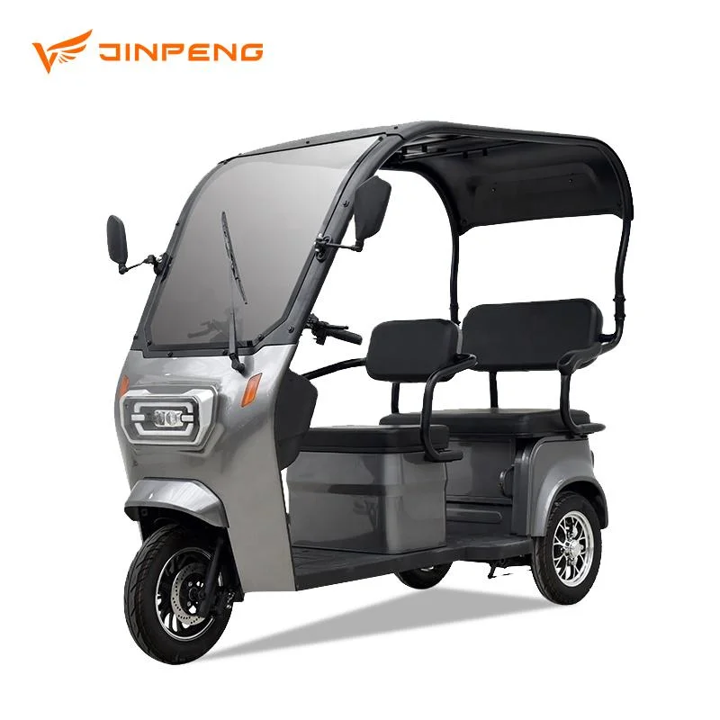 New Arrival Electric Tricycle with Roof Made in China