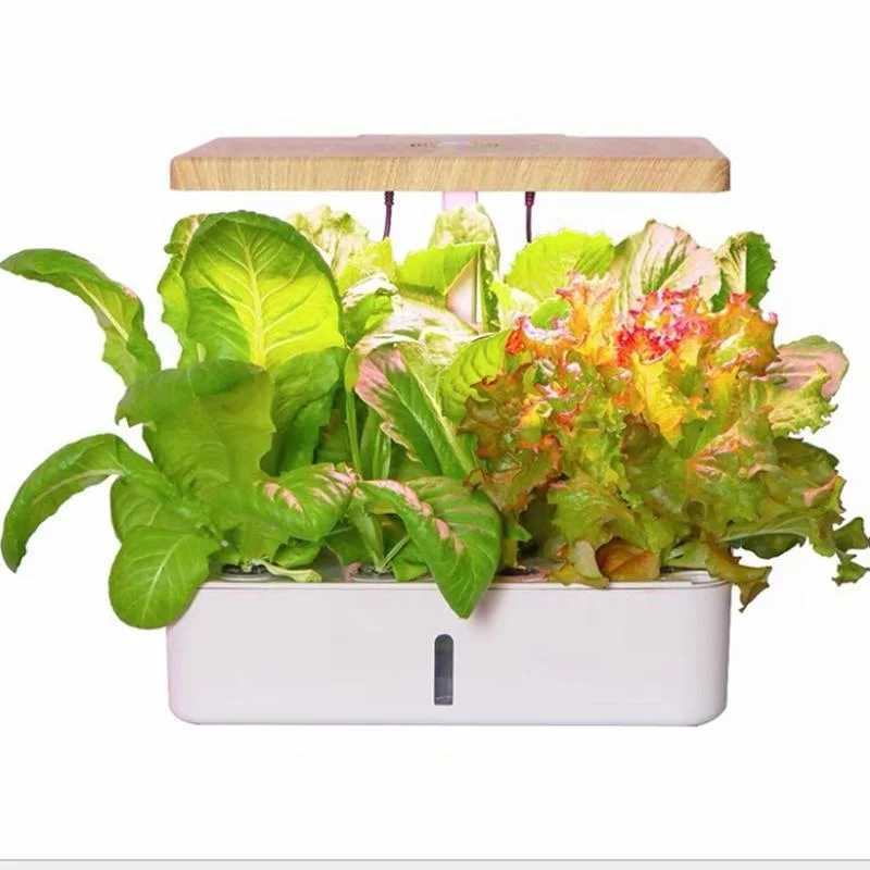 Indoor Garden Mini Hydroponic Growing System with LED Light