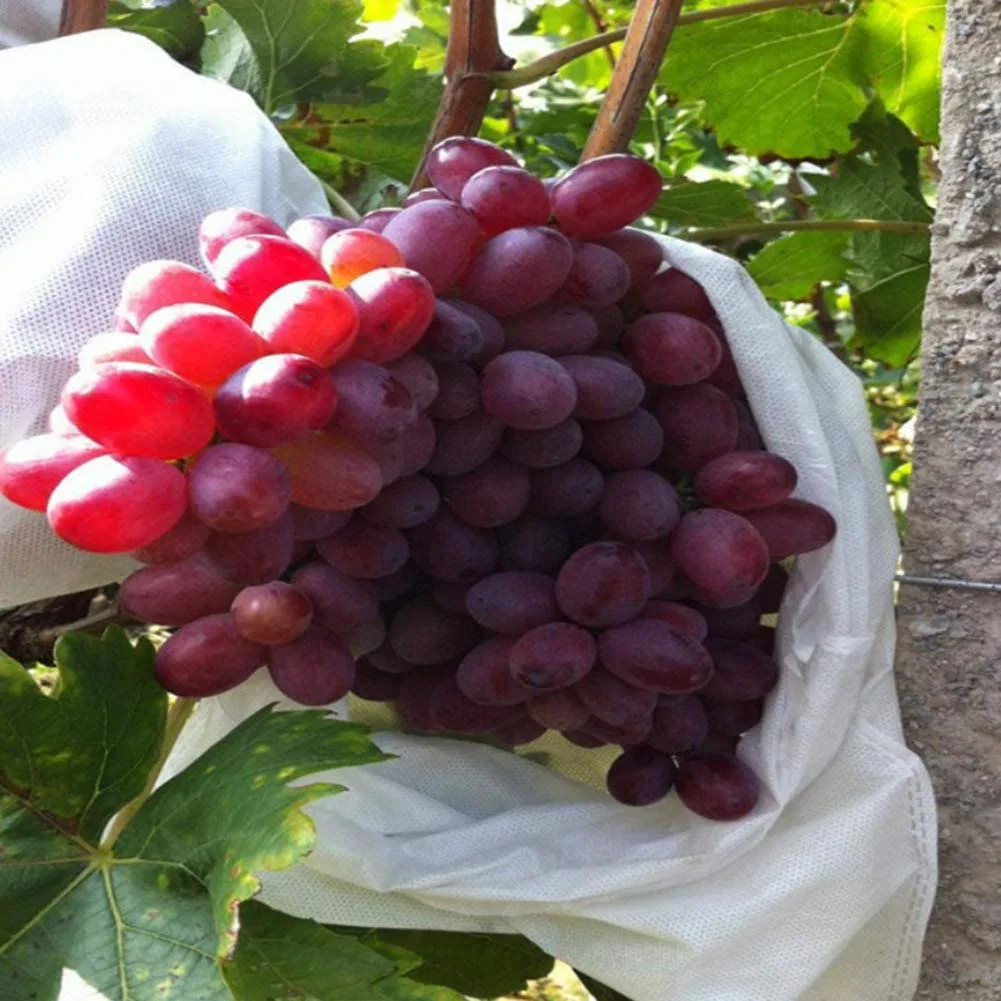 Mesh Against Insect Pest Bird for Plant&Fruits