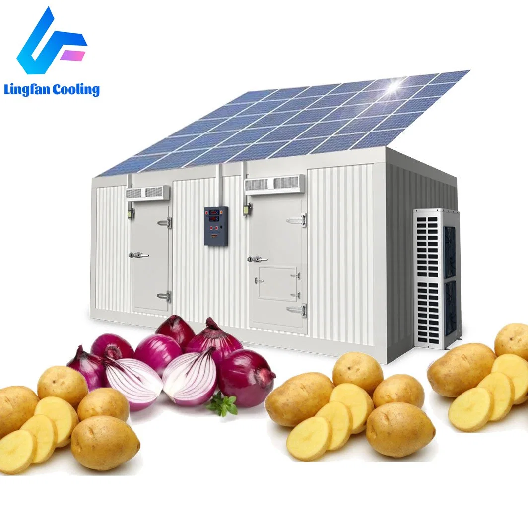 New Style Cold Room Frozen Room Solar Power Cold Storage Ferrze