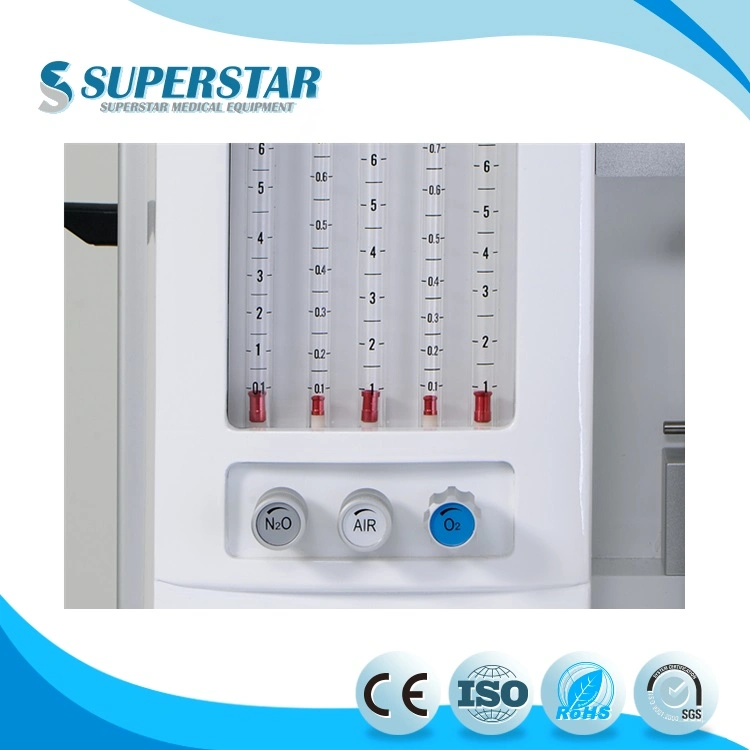 China Supplier Hot Selling Multi-Function Medical Equipment Anethesia Machine S6100A