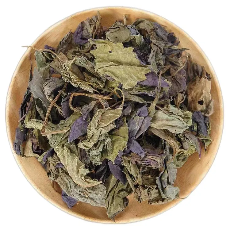 Commerce de gros Perilla Leaf traditionnel chinois Herbal Medicine naturel Perillae séché Folium
