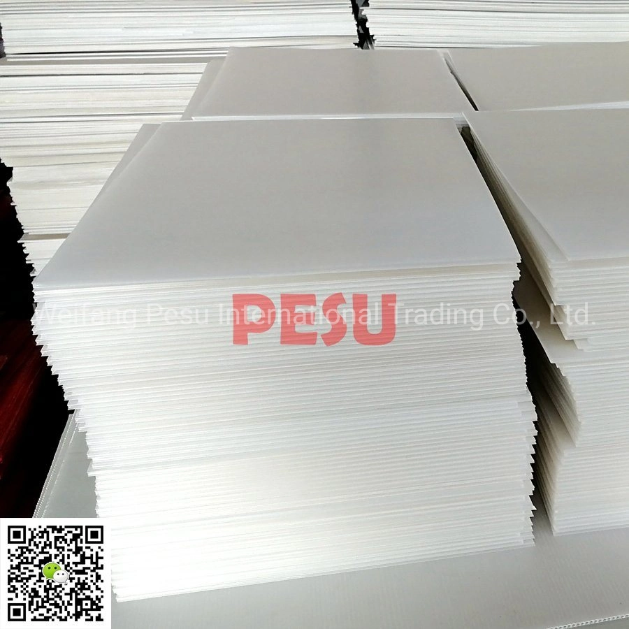 Polypropylene Corrugated Sheet for Packaging