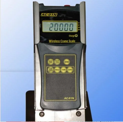 Acs-a-2t Heatproof Digital Weighing Crane Scale for Industry