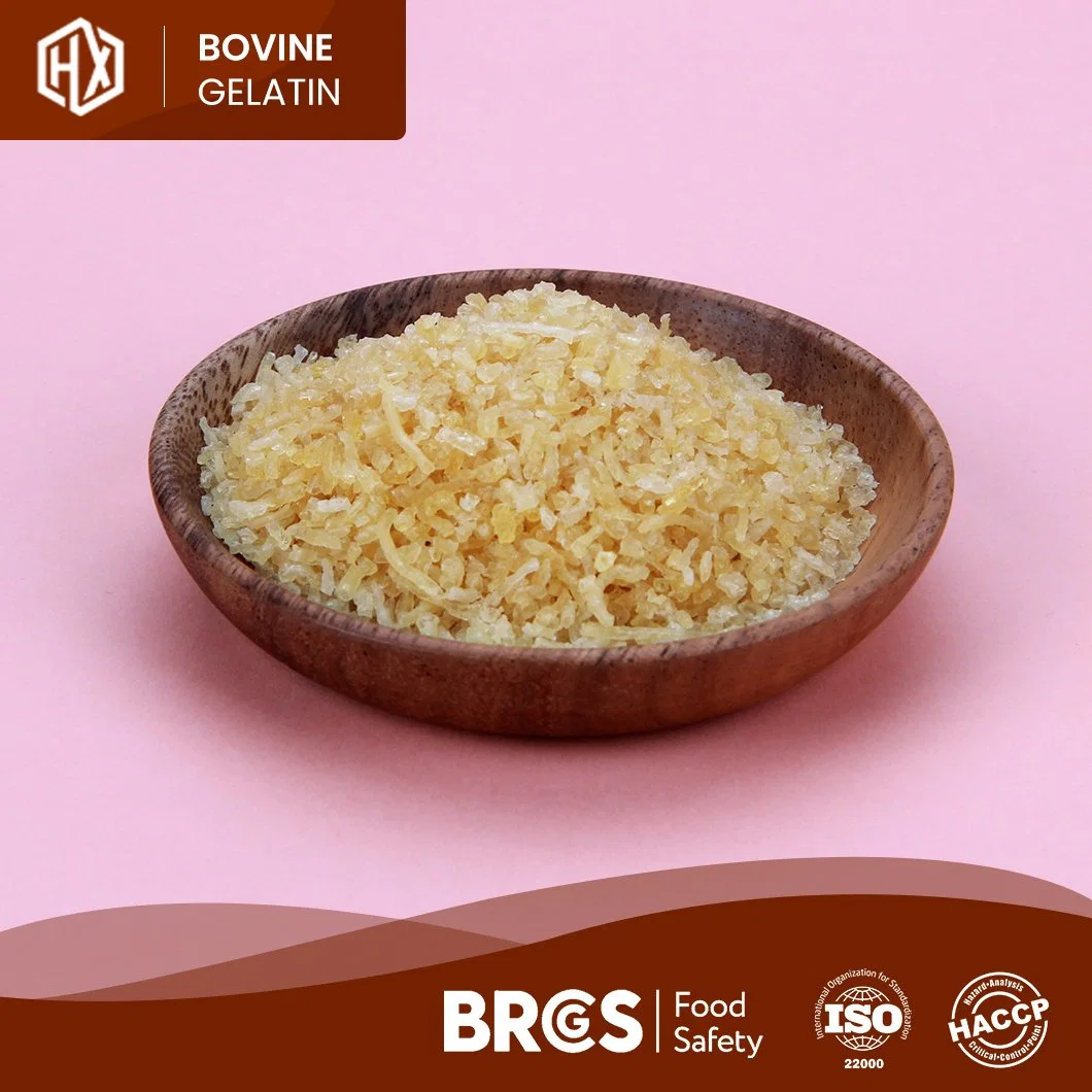 Haoxiang High-Quality Food Bovine Skin Gelatin 150 Bloom High-Purity Powdered Bovine Skin Gelatin China Supplier Sample Available Medical Bovine Skin Gelatin