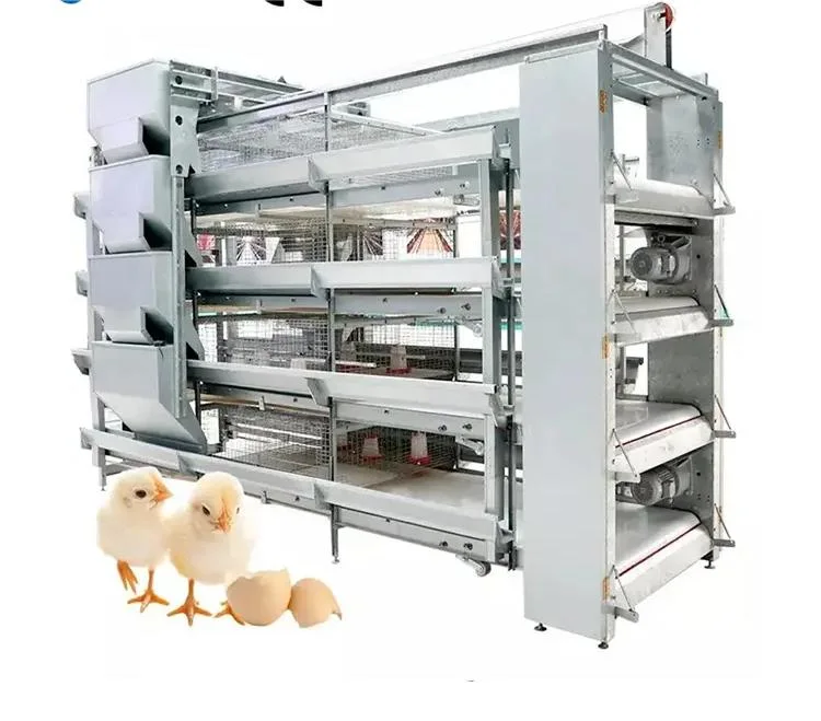 Egg Layer Farming Equipment H Typ voll automatische Batterie Huhn Geflügelkäfig