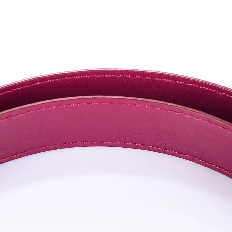 حزام PU جلدي لامع من الجلد لملابس التصدير (RS-1509013)