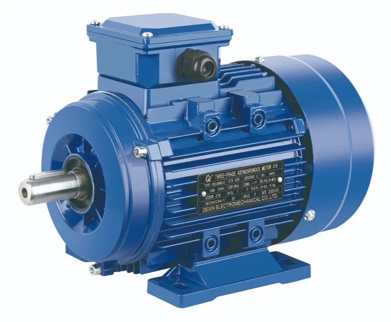 Ms Series 0.37kw 2pole 4pole B3 B35 CE Approved Alu Body Electric AC Induction Motor Price