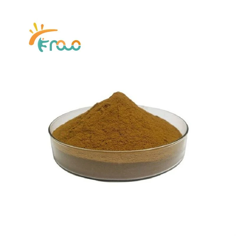 Supply Top Sale Pure Natural Ginkgo Biloba Extract