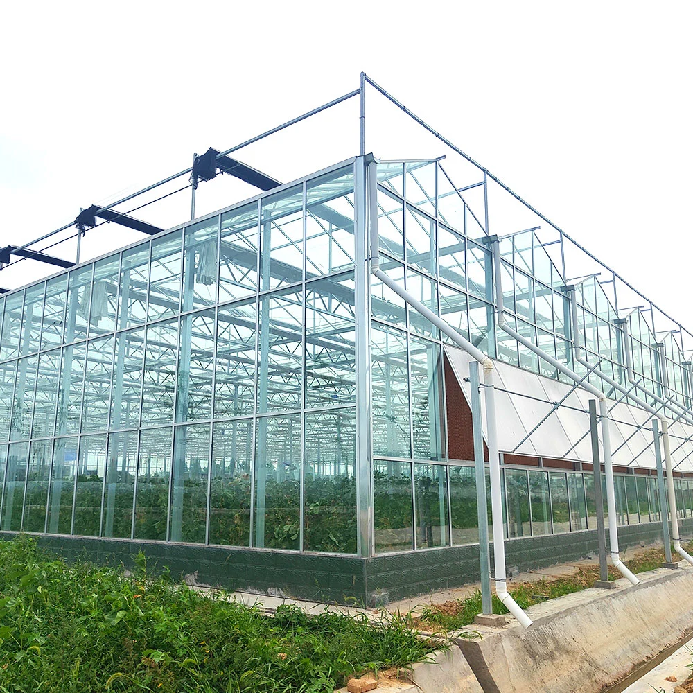 Günstige Multi-span / Single Landwirtschaft Tunnel gewölbte Kunststoff-Film-Glas Gewächshaus für Bauernhof / Garten mit Saatbett hydroponic Kühlung nassen Vorhang