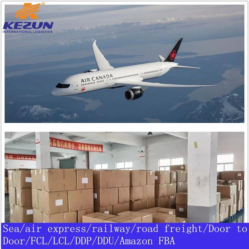 Sea Freight Shipping Agent From China to Europe Sweden Denmark Aarhus