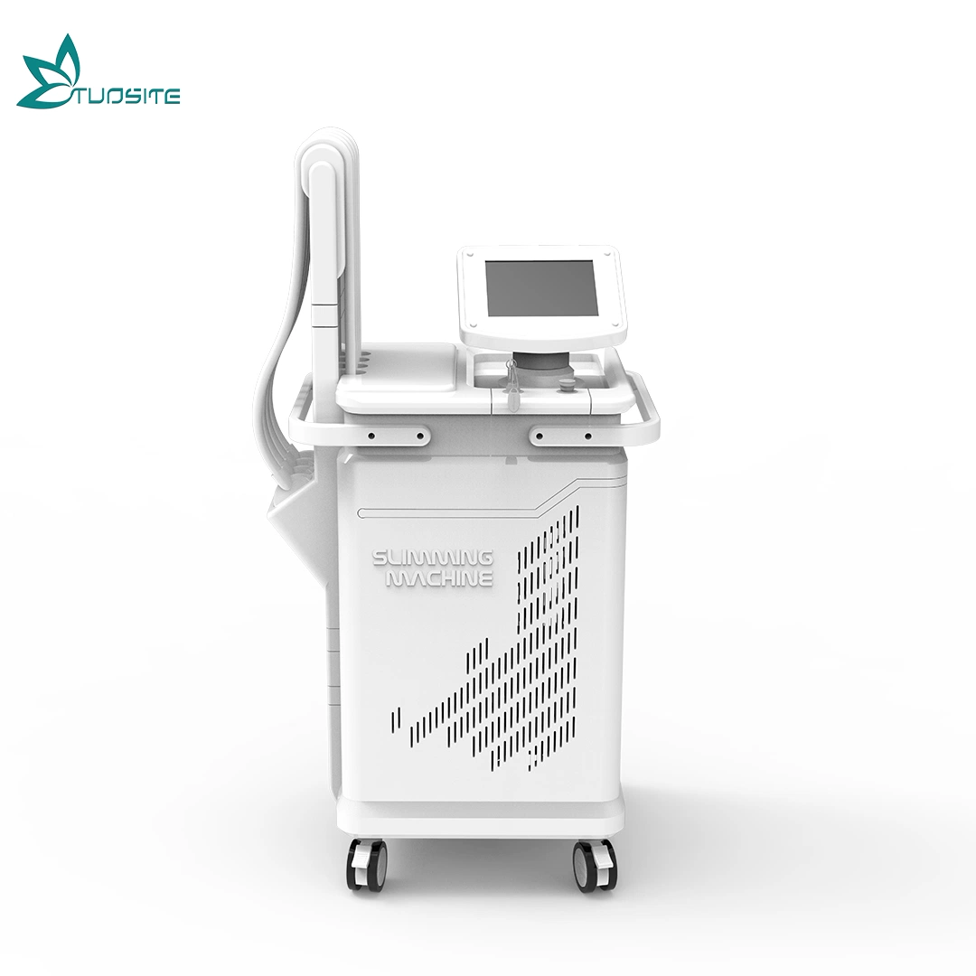 Professionelle Körper Abnehmen 1060nm Diode Laser Gewichtsverlust Beauty-Ausrüstung