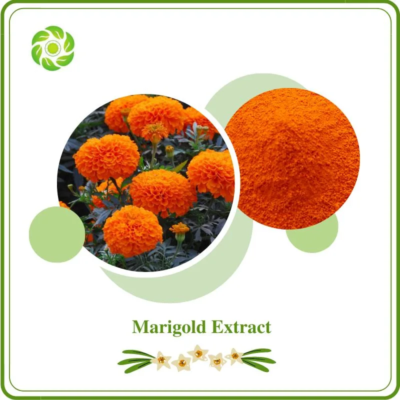 World Well-Being Biotech ISO&FDA Certified Food Additive Natural Color Food Pigment Lutein 5%-90% Zeaxanthin 5%-80% Marigold Extract