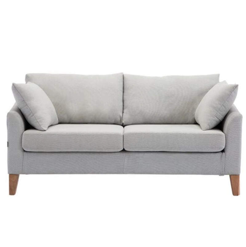 Nordic Fabric Sofa Simple Living Room Double Three Classic Sofa