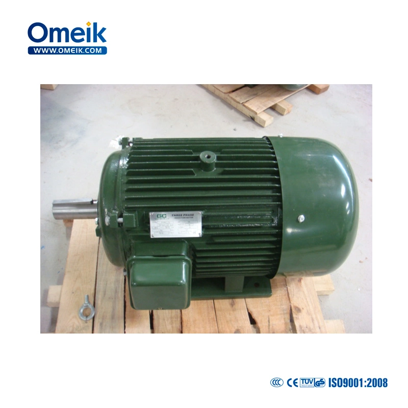 Omeik Y Series 380V/660V IEC Standard Three Phase Motor