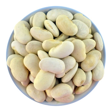 Phaseolus Vulgaris Extract 2% Phaseolamin White Kidney Bean Extract