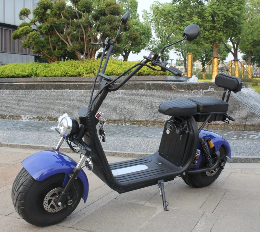 Electric Scooter Citycoco Bike 2000W Removable Battery Fat Tire Electric Motorcycle