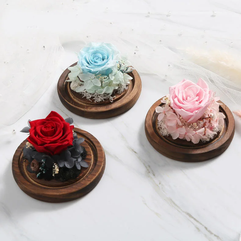 Souvenir Gift Preserved Rose Mini Dome Glass Gift Box Christmas Angel Solar Fairy Glass Jar Light Elf Cup Fashion & Special