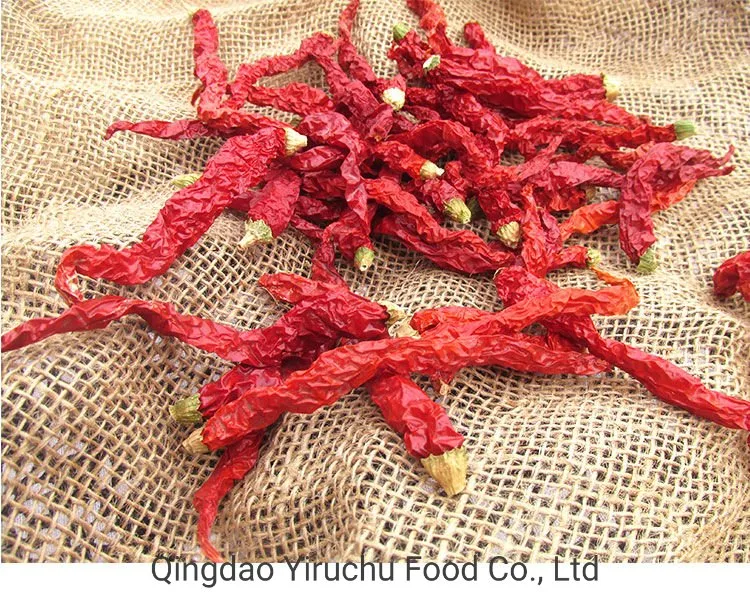 High-Quality Red Chilli and Dried Pepper Supplied by High-Quality Suppliers