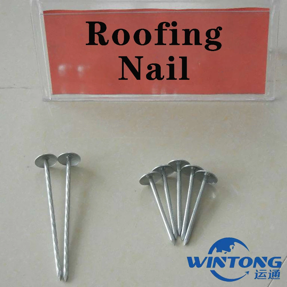 Ring / Q195 / Color Galvanized / Roofing Nails