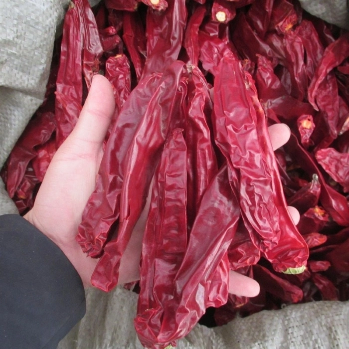 Dry Red Chilli with Best Price / Grade a / Sangying Chili / Yidu Chilli