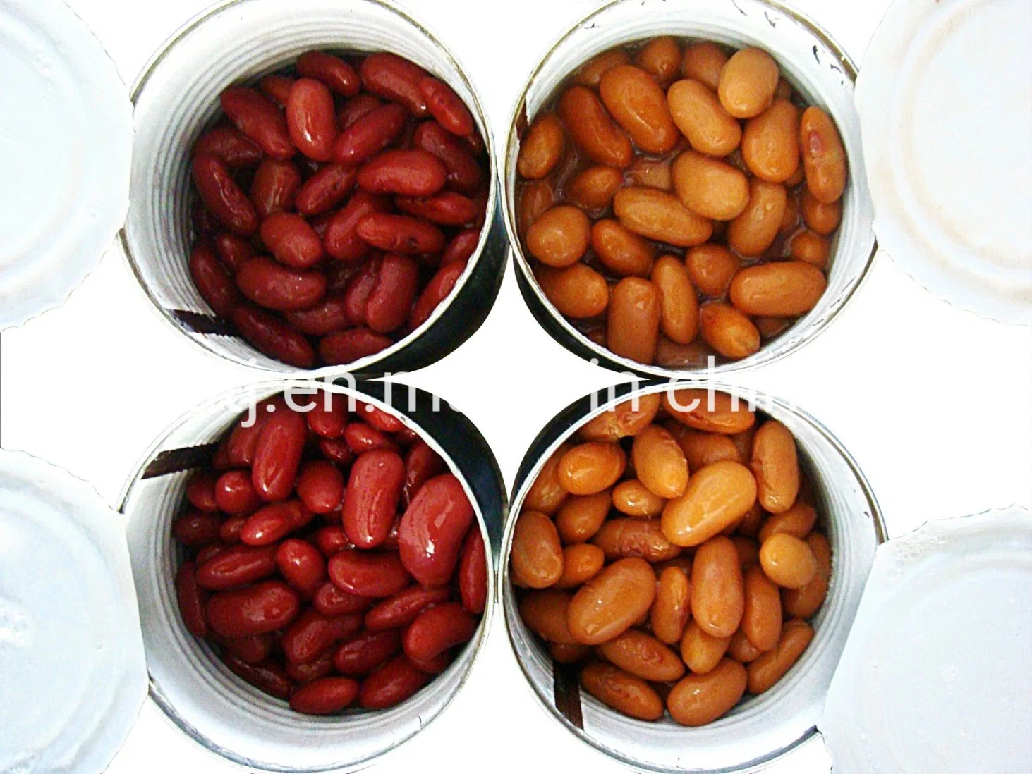 Canned Red Beans with High quality/High cost performance 