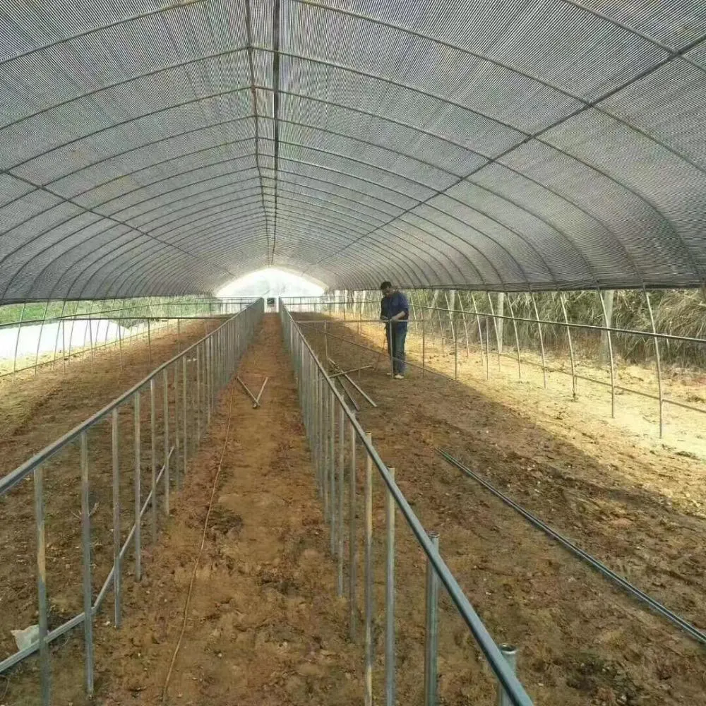 4-8m Wide Cheap Ang Pretty Good Single Span Agriculture Strawberry Film Greenhouse