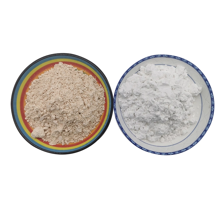 High Purty Diatomaceous Earth Powder for Food Grade