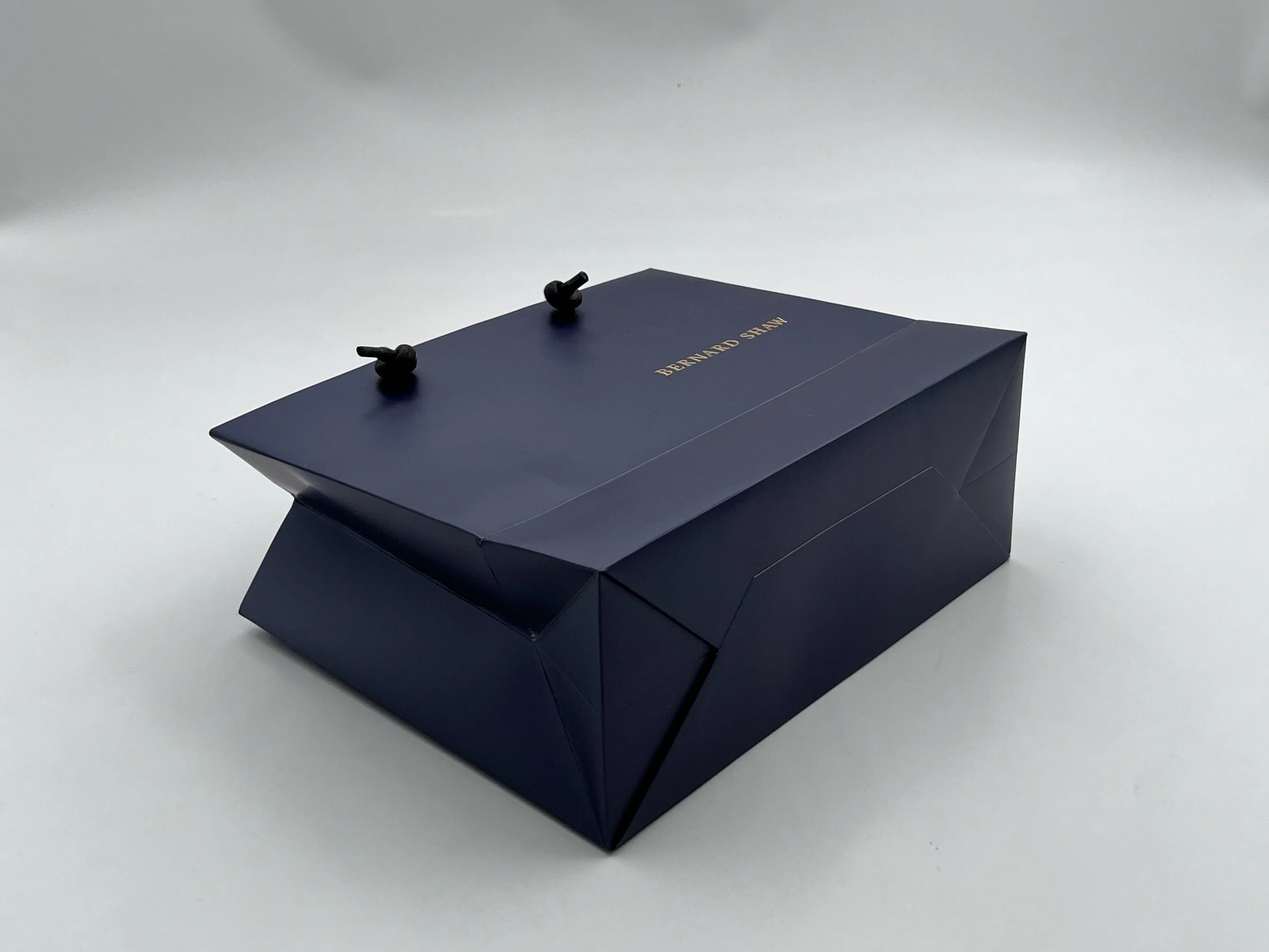 New Gold Logo Hot Foiled Stamping Navy Blue Matt Coated Art Paper Bag with Fashion Rope Handles