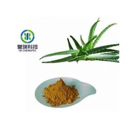 Preço razoável 100% natural extrato vegetal extrato de aloe vera puro cápsulas de pó