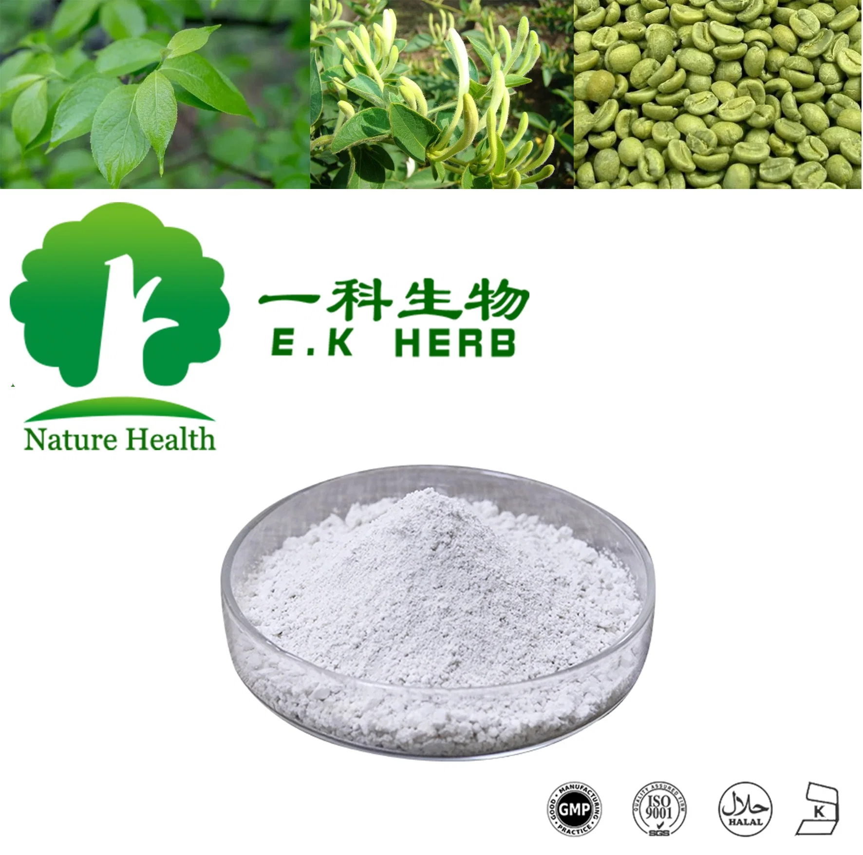 ISO Halal Kosher Honeysuckle Flower Eucommia Ulmoides Extract 5%-98% Chlorogenic Acid Powder