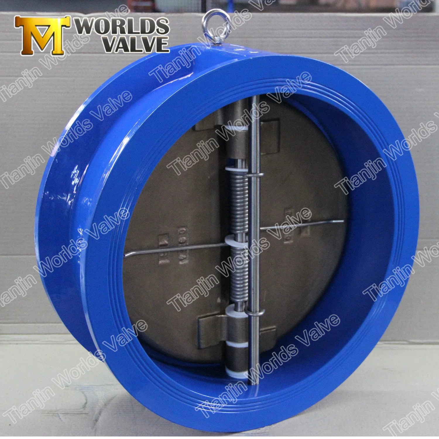 ISO5752 En558 API594 Double Disc Dual Plate/Flap/Butterfly Wafer Check Valve with Ce ISO Approved