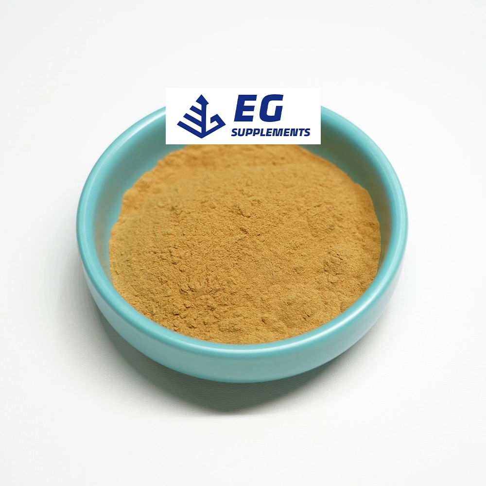 Plant Extract Sanchi Rhizoma Powder Saponins 10%~50% Notoginseng Extract Powder