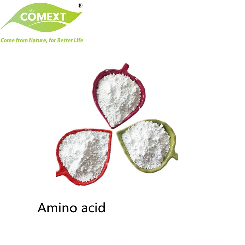 Comext Factory Natural 2: 1: 1 Nutrición de calidad alimentaria aminoácido de cadena ramificada