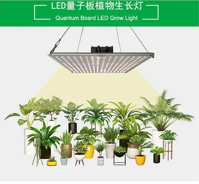 Wholesale/Supplier Full Spectrum Samsung Osram 480W LED Growing Lights PAR Panel Grow Light for Medical Plants Spider