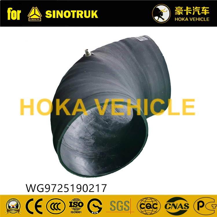 Camion HOWO Sinotruk Original pièces de rechange pour filtre à air du tuyau d'admission Assy Wg9725190217