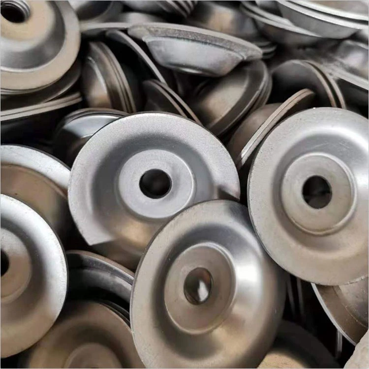 Stainless Steel Cup Spring Washer Galvanized Carbon Steel Screw Cup Washers