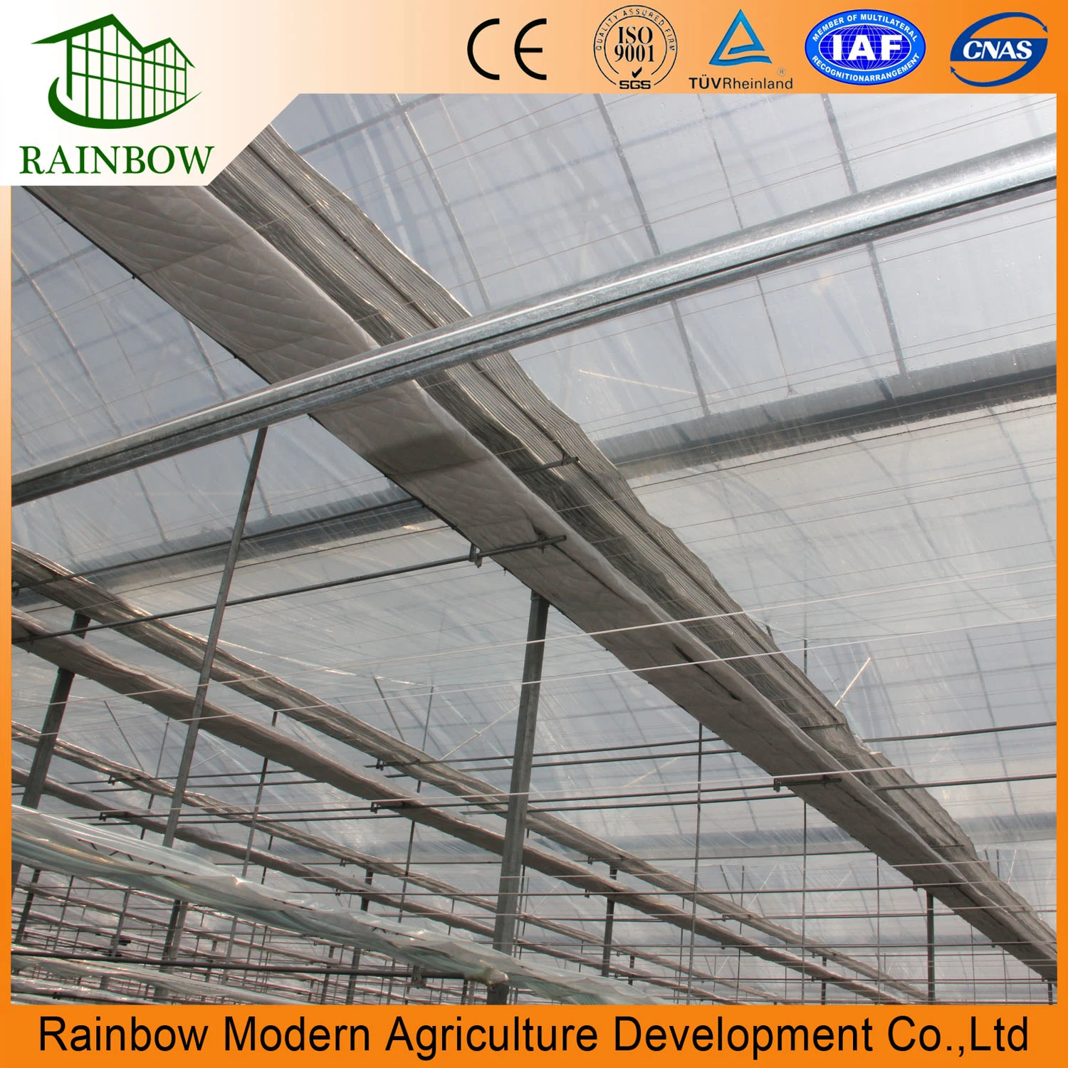 Cheap Arch Type Film Tomato Greenhouse for Tropical Region