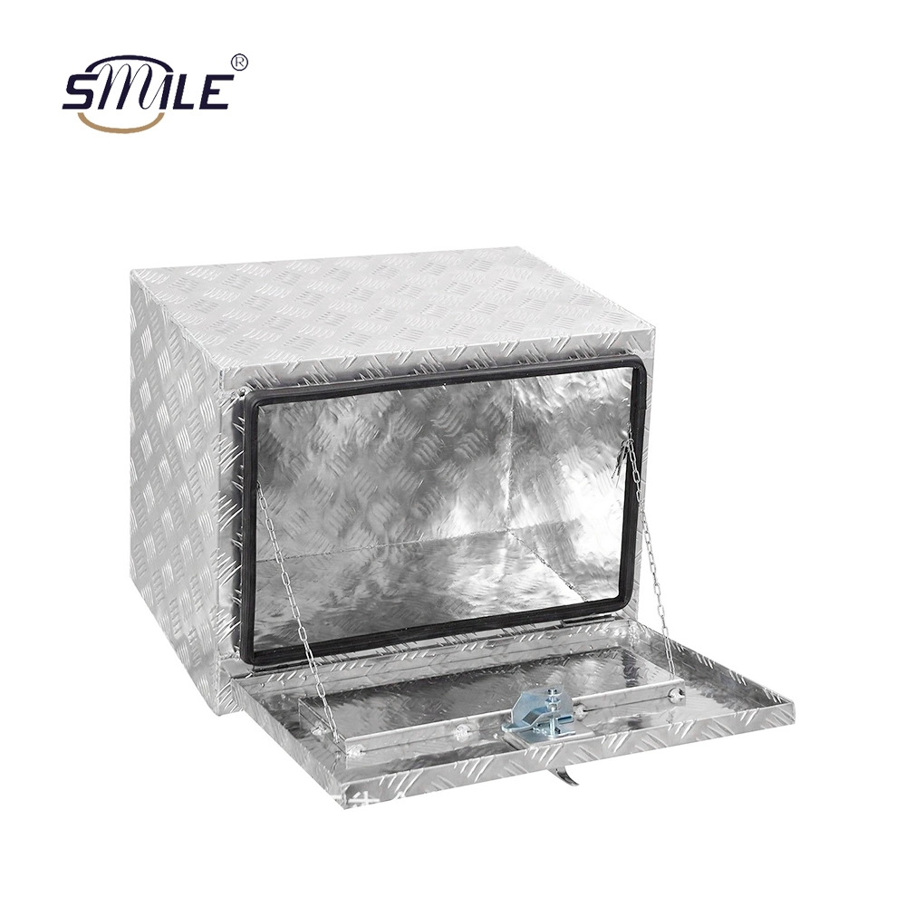 Smile camion-remorque personnalisable Boîte de transport étui de rangement en aluminium boîte à outils avec les touches de l'argent