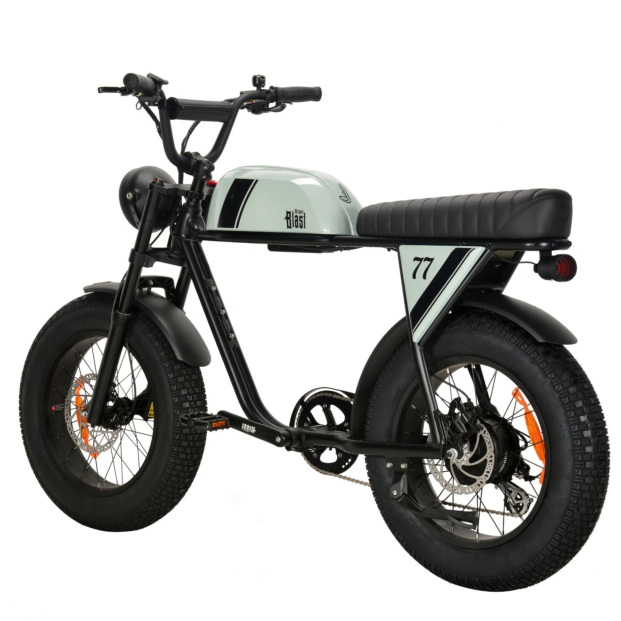 750W Pedalec Ebike Powerful 48V High Performance Vintage Electric Bike